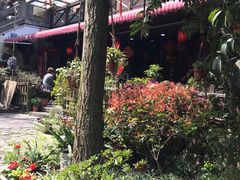 -国生茶庄·地道农家菜团建活动