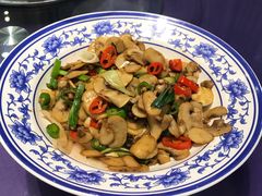 杏鲍菇-鸿源斋清真豫菜(惠济店)