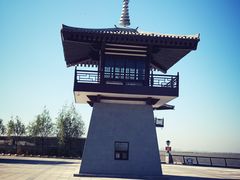 -呼兰河口湿地公园