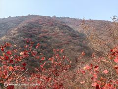 -水峪民俗村
