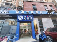 -宠颐生宠物医院·心肾内科·猫专科诊疗中心宠巢店