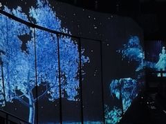 -上海马戏城