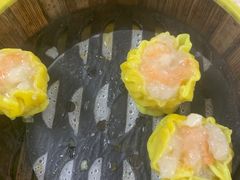-肥佬夜茶(早茶·西乡店)