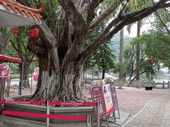 -南沙天后宫景区