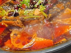 火锅烤鱼-眉州东坡(望京店)
