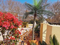 -HUATA 'Holiday Plan 花榻