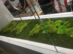 -喜茶(永旺梦乐城店)