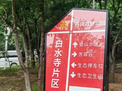 -白水寺森林公园