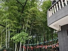 -金水泊山庄·花椒鸡(铁山坪店)