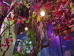 -范设计花园餐酒咖·中西餐·咖啡厅·酒馆