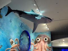 -贝林大翅鲸简餐厅(国家海洋博物馆店)