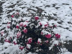 -滆湖低碳生态公园