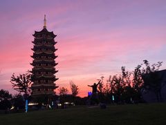 -葛仙湖公园