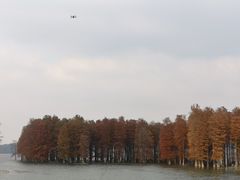 -四明湖