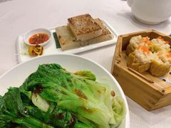 -东方御宴海鲜酒楼(棕泉酒店)