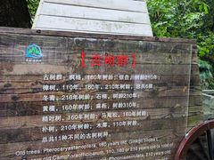 -众神白水涧景区