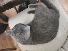 -么么咖啡(燕郊店)