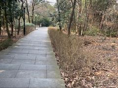 -宝界山林公园