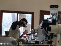 -SAFARI COFFEE