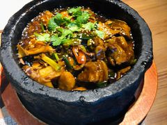 -雀舞云南菜(乐客城店)