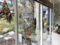 -春树下·树屋花房西餐厅(罍街AS1980店)