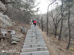 -金龙寺国家森林公园