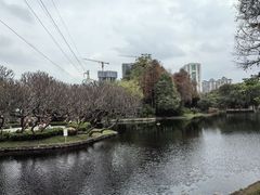 -晓港公园