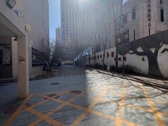 -北京市陈经纶中学分校