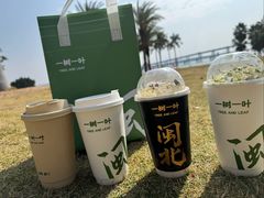 -一树一叶·福建茶档(石鼓路店)