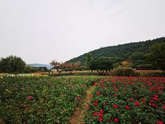 -龙寺生态园