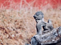 -潭柘寺景区