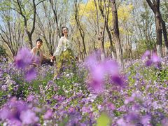 -济南国际园博园