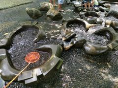 -成都市活水公园