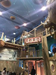 -卡通尼·Safari非洲探索乐园·生日会(金桥国际商业广场店)