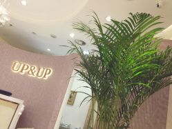 -UP&UP·半永久眉毛眼线机器野生眉