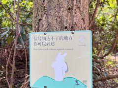 -马峦山郊野公园
