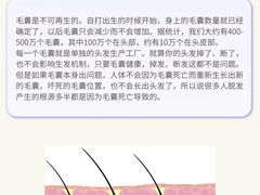 -中国农业大学(西校区)