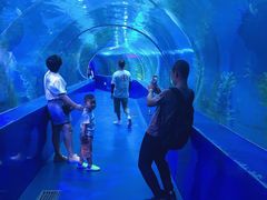 -皇家极地海洋世界-售票处