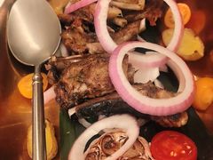 龟兹特色烤羊排-龟兹KUCINA·新疆菜(前滩L+PLAZA店)