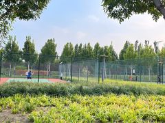 -瀛海足球主题公园