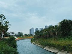 -永康森林公园
