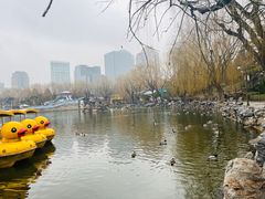 -团结湖公园