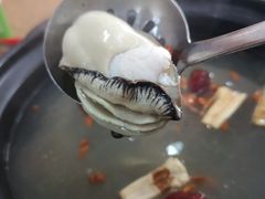-濠轩阁特色生蚝火锅(水湾路店)