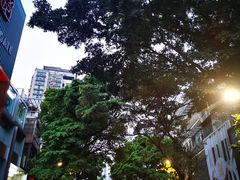 -银记肠粉店(北京路店)