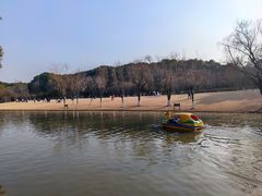 -上海方塔园