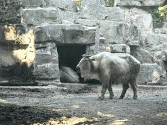 -上海野生动物园