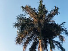 -忠惠蔡公祠