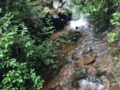 iphone_upload_pic-千岛湖王子谷漂流