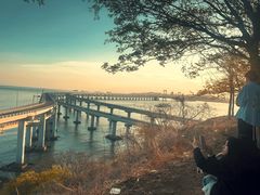 -星海湾跨海大桥