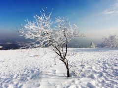 -亚布力新体委滑雪场